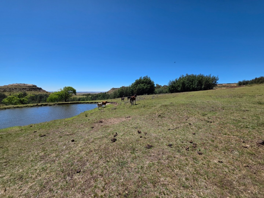 Commercial Property for Sale in Bethlehem Free State